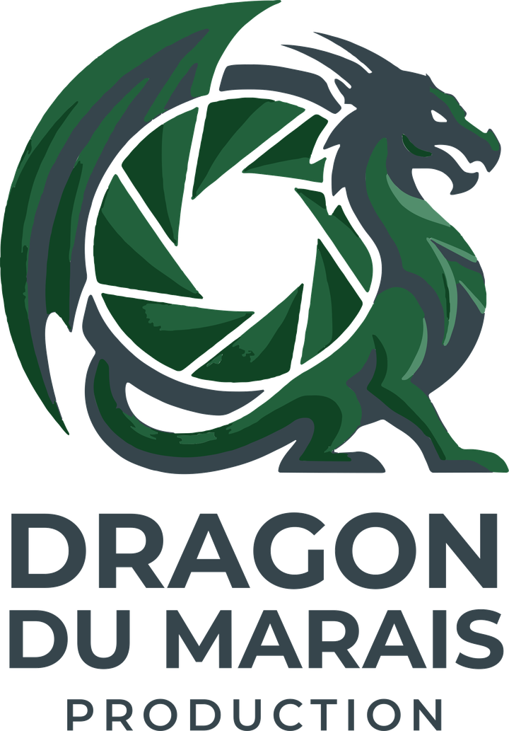 Logo Dragon du Marais Production